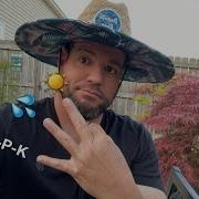 3 Common Mistake People Make With Their Japanese Maples And Conifers I Ve Done All Of Them
