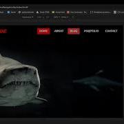TOP 10 CSS JAVASCRIPT AND JQUERY EFFECTS