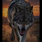 БРОНЯ ВНУТРИ МЕНЯ Alpha SunoAi музыка трек жизнь мотивация Wolf