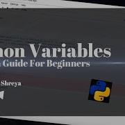 Python Variables Explained In Depth Guide For Beginners Complete Python Tutorial