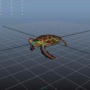 Sea Turtle Animation Head Avi
