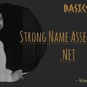 Strong Named Assembly In NET