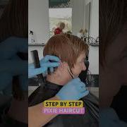 STEP BY STEP PIXIE HAIRCUT Complete Tutorial Linked Below