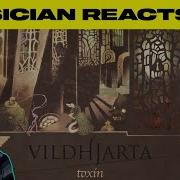 Musician Reacts To Toxin Vildhjarta