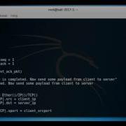 Create Complete Tcp Flow Of Packets Using Scapy Part3