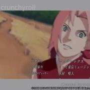 Sakura AMV Dangerous