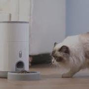 Petoneer Nutri Mini Smart Pet Feeder