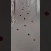 Pendulum Wave With Billiard Balls