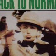 BACK TO NORMAL Son Of Religion