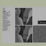 Security In Digital Image Processing Watermarking Module V Lecture 6 EC703A
