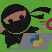 Лучшие языки программирования для хакеров на Python Golang Bash