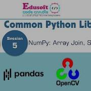 Common Python Libraries NumPy Arrays Join Split Sort
