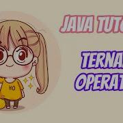 Java Tutorial Ternary Operator