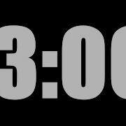 13 MINUTE TIMER LOUD ALARM