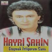 Hayri Şahin Düşme