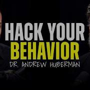 Change Your Brain Neuroscientist Dr Andrew Huberman Rich Roll Podcast