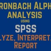 SPSS Data Analysis Cronbach Alpha Reliability Analysis Interpretation And Reporting