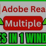 How To OPEN MULTIPLE PDF FILES In One Window Adobe Reader QUICK EASY 2026