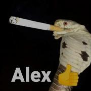 SHITPOSTING COMPILATION V64 Recopilación De Shitpost épico