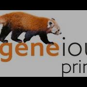 Geneious Prime Learnabout It And Perform Simple Analysis Whole Genome Seq Analysis