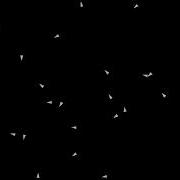 Boids In Python Pygame Attempting To Avoid Each Other