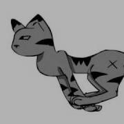 Cat Run Cycle Test First Try