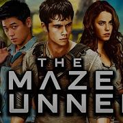 The Maze Runner The Most Underrated Zombie Trilogy