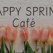 Happy Spring Cafe Jazz Bossa Nova Music Relaxing Instrumentals For Study Work