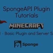 Basic Sponge Plugin Tutorial Plugin Server Setup Part 1