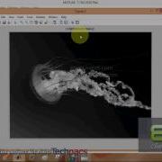 DWT Based Image Compression The Wavelet Transform Latest Project 2020