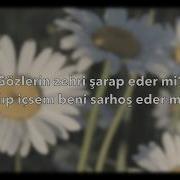 Hirai Zerdüş Papatya LYRICS