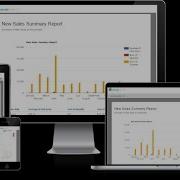 Dynamic Report Dashboard And Other New Features In V3 0 Of Dotnet Report
