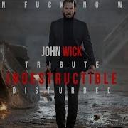 John Wick Tribute Survivor