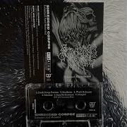 Shredded Corpse Exhumed And Molested 1996 OG Cassette FULL ALBUM ALL BONUS TRACKS