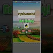 Coding A Python Flappy Bird Game With Pygame Python