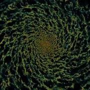 Galaxy Disc Simulation Fly By