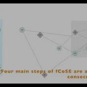 FCoSE Constrained Graph Layout Fixed Node Constraint