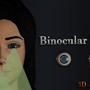 Binocular Vision In Human Eye 3D Animation