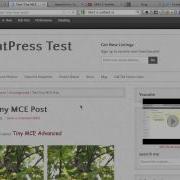 TinyMCE Advanced Overview