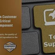 Insights From ScrapWare Customer Support