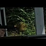 Slow Motion Glock 20 Gen 5 10mm Visible Bullet