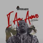 Amerado I Am Aware Lyrics Video