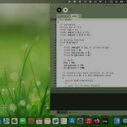 Aspen Tree Generator Using L Systems In Processing