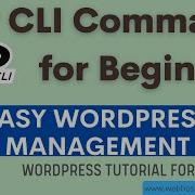 WordPress Tutorial How To Use WP CLI For Beginners