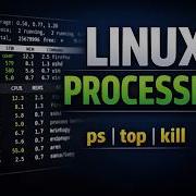 Linux Process Management Explained Ps Top Kill Pstree Vmstat Hindi