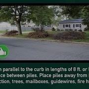 Public Services Update Brush Collection Guidelines