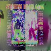 Bladee Yung Lean LIVE Laneway Festival Sydney Phone Clips