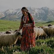Avşin Lo Lo Mihemedo Kürtçe Yeni Şarkı 2026 Kurdish Music Stranên Kurdî