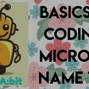 Basics Of Coding Micro Bit NAME TAG