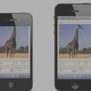 See FileMaker Go On IPhone 5